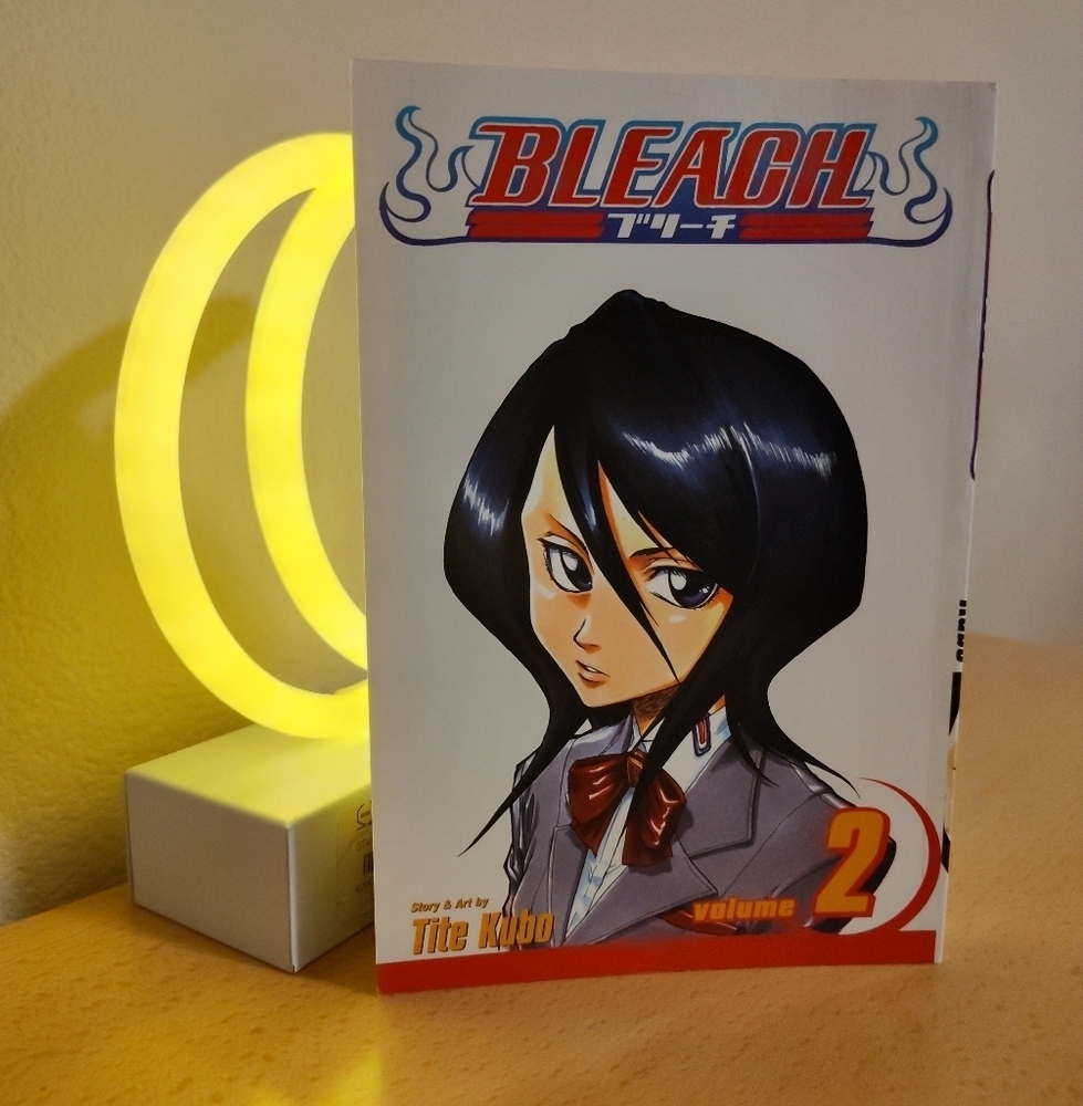🆕 Bleach Volume 2 Paperback Book